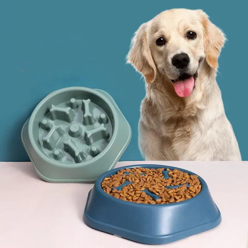 Liora Pets Slow Feeder Pet Bowl