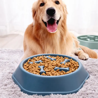 Liora Pets Slow Feeder Pet Bowl