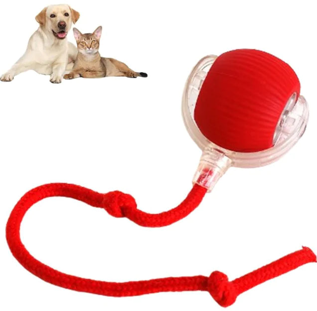 Liora Pets Smart Rolling Pet Ball