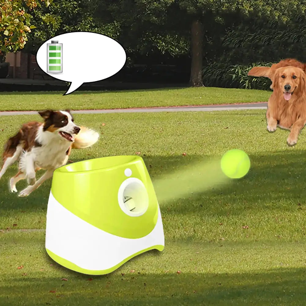 Liora Pets Automatic Tennis Ball Launcher
