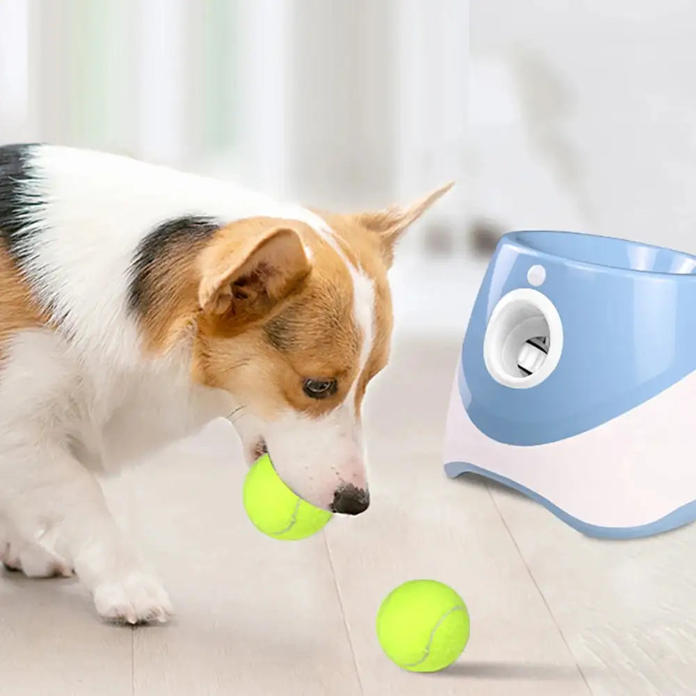 Liora Pets Automatic Tennis Ball Launcher