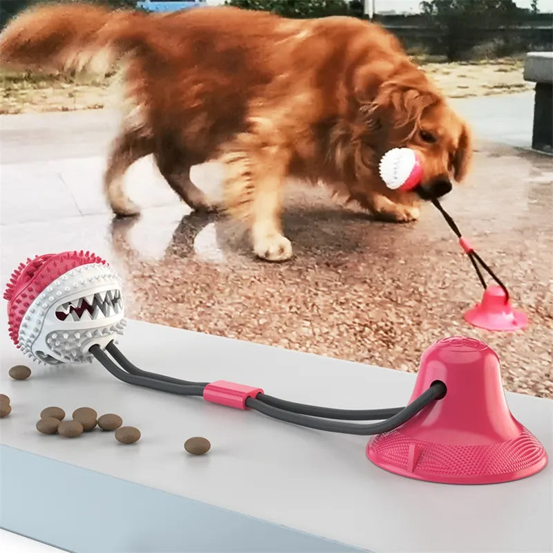 Liora Pets Suction Ball Interactive Dog Toy