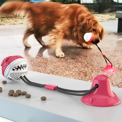 Liora Pets Suction Ball Interactive Dog Toy