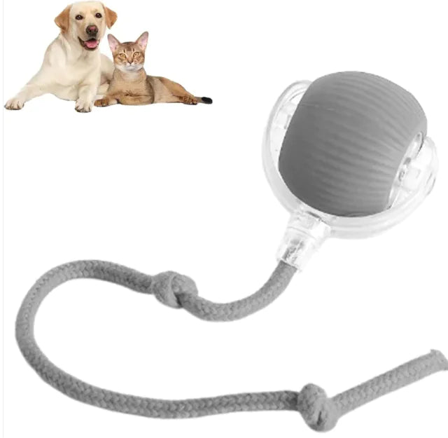 Liora Pets Smart Rolling Pet Ball