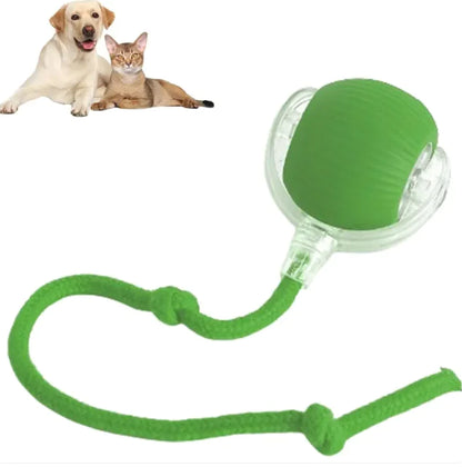 Liora Pets Smart Rolling Pet Ball