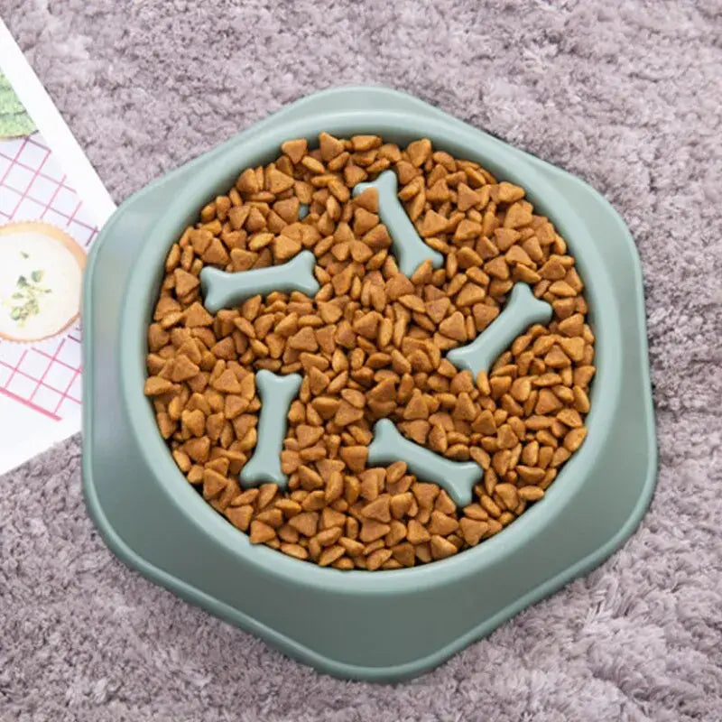 Liora Pets Slow Feeder Pet Bowl
