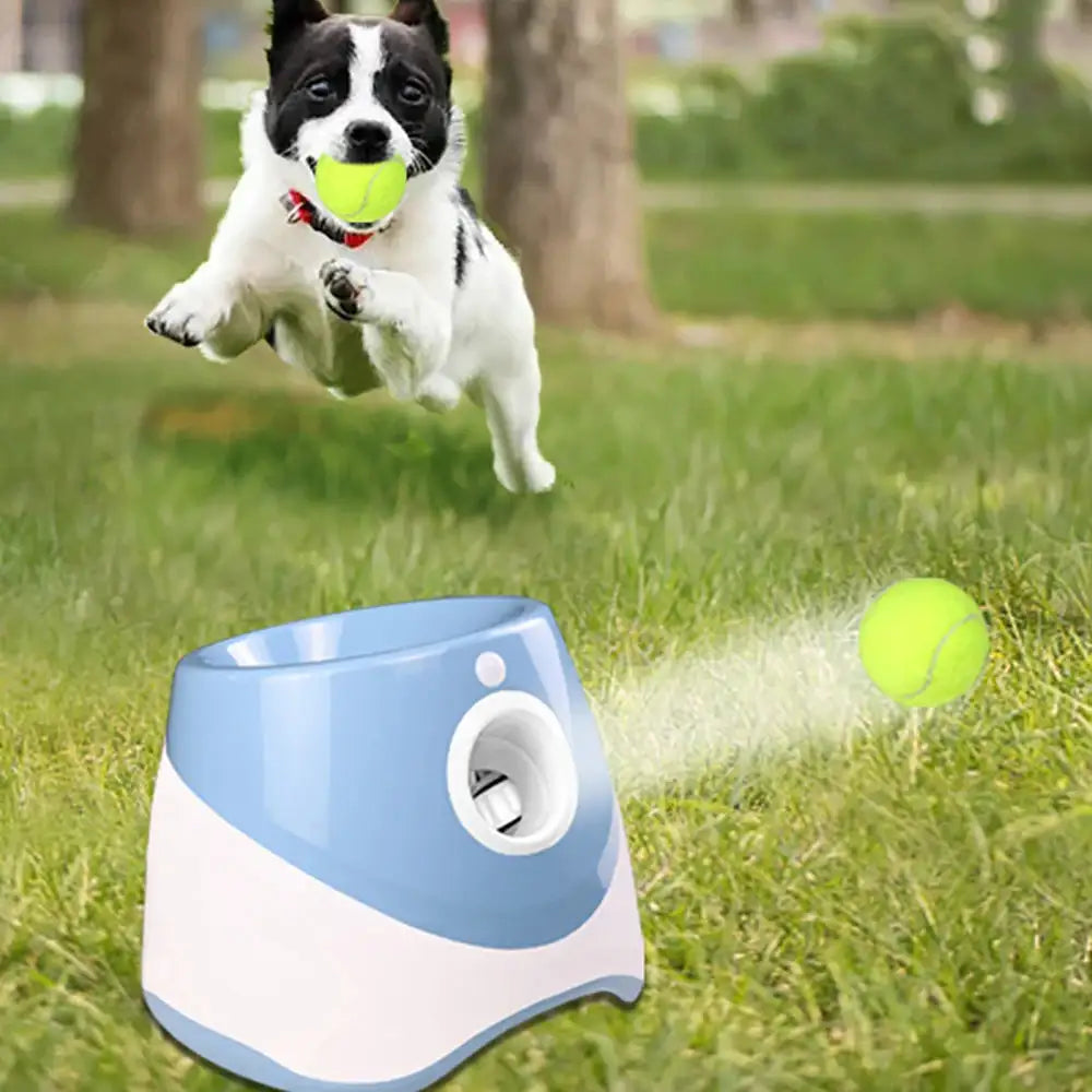 Liora Pets Automatic Tennis Ball Launcher
