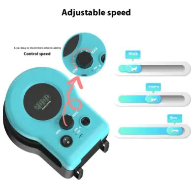 Liora Pets Interactive Cat Fitness Toy